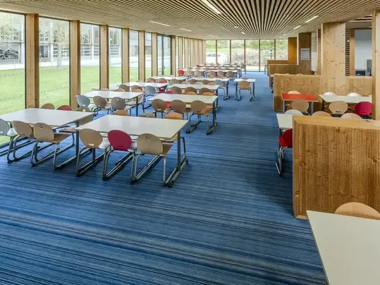 Revêtement de sol cantine scolaire textile floqué Flotex | Forbo Flooring Systems